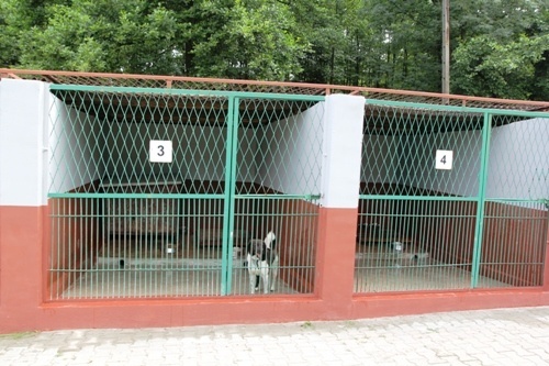 Odnowione boksy w schronisku dla zwierząt